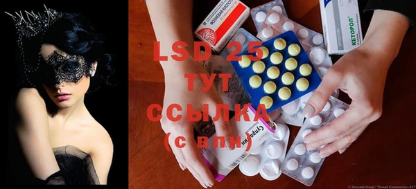 PSILOCYBIN Костерёво