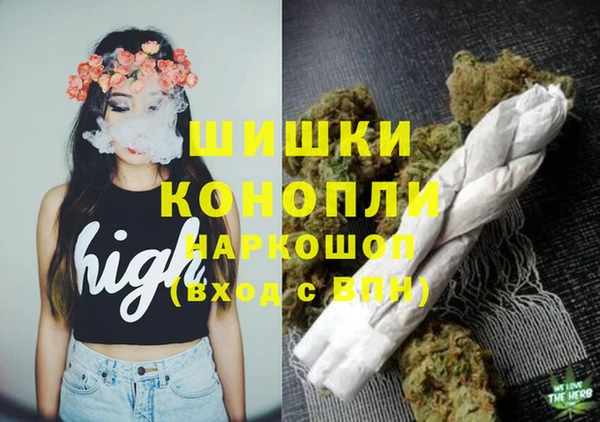 винт Коряжма