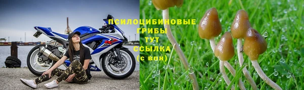 PSILOCYBIN Костерёво