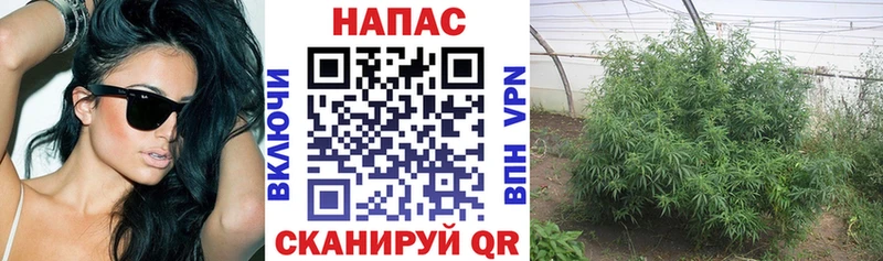 даркнет сайт  блэк спрут ONION  МАРИХУАНА SATIVA & INDICA  Волжский 